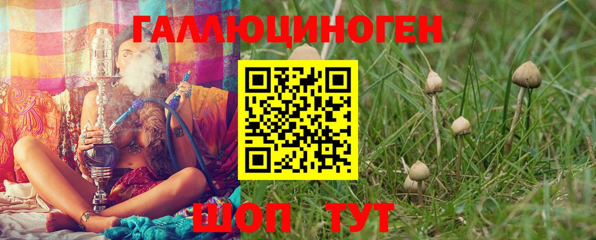 Псилоцибиновые грибы GOLDEN TEACHER  Вход с VPN  Фрязино 